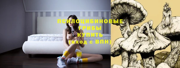 стаф Пестово