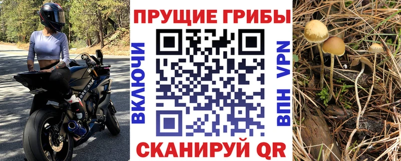 Галлюциногенные грибы мицелий даркнет сайт Зеленогорск